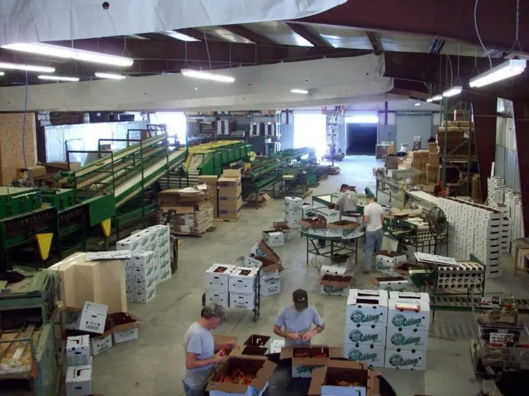 asd food hub